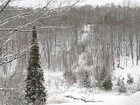 Now the snow has come,. Seen from the cabin deck.