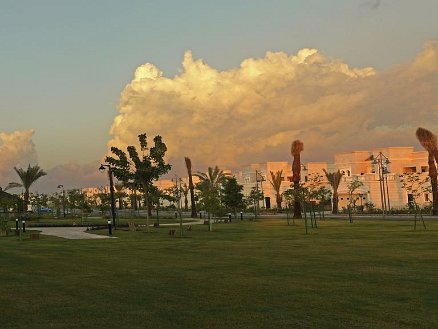 King Abdullah University of Science and Technology (KAUST)