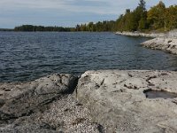 Shoreline. The lake is very low and these Damned Zebra Mussels died in the shallows