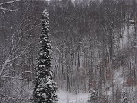 Looking off our porch, our new hilltop cabin is way on the upper right.  Come Spring, it NEEDS an outhouse.